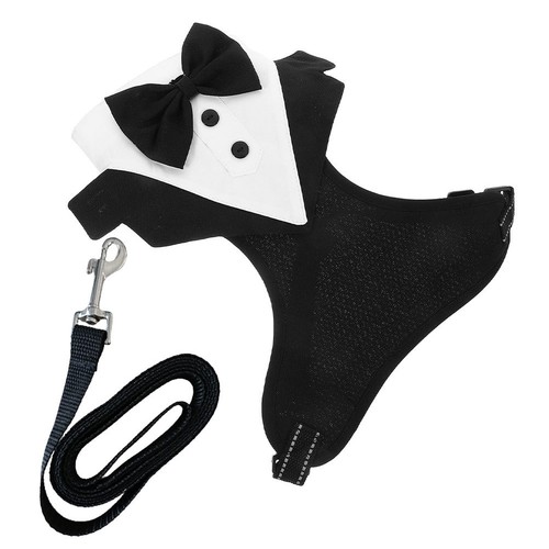 Set dog tuxedo - 1,