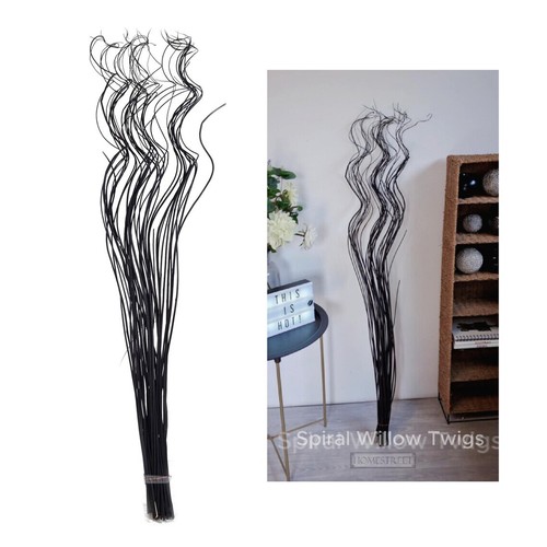 Black twisted spiral willow - spiral,