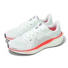 Nike Air Zoom Pegasus 41 White Metallic Silver Men Road Running Shoes FD2722-115