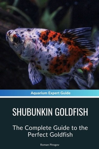 Shubunkin goldfish the - goldfish:,