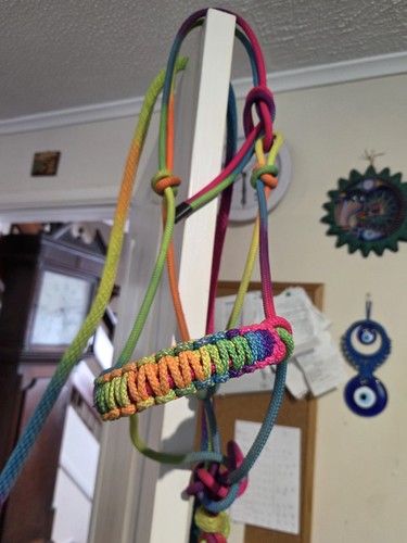 Rope halter lead - &,