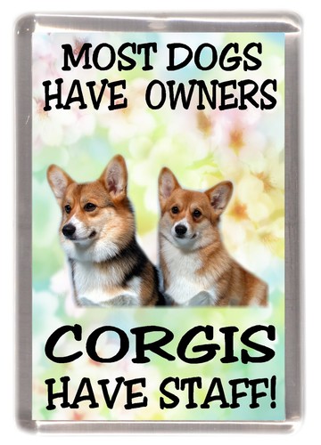 Corgi dog fridge - (pembroke),