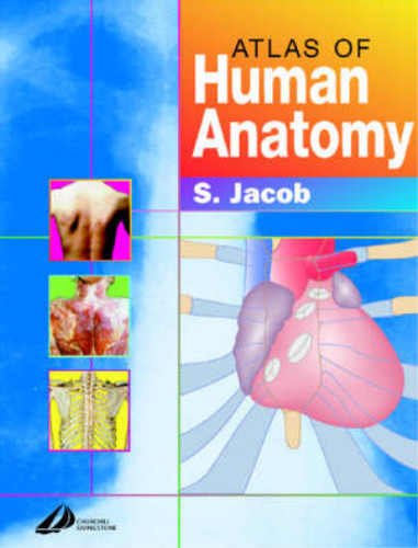 Atlas human anatomy jacob - human, anatomy,