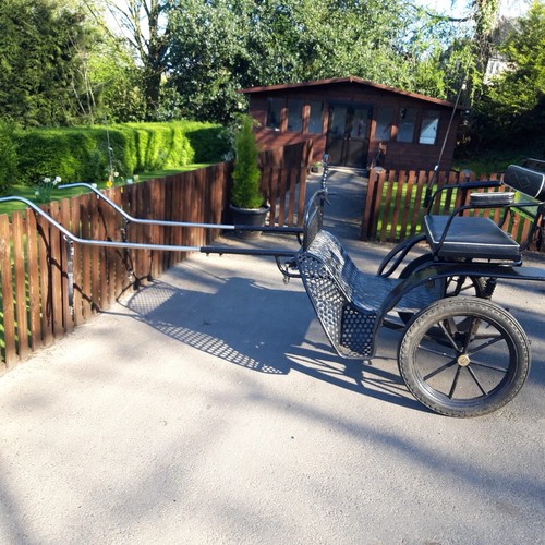 Horse carts carriage - horse,