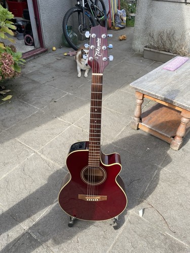 Takamine series - takamine,