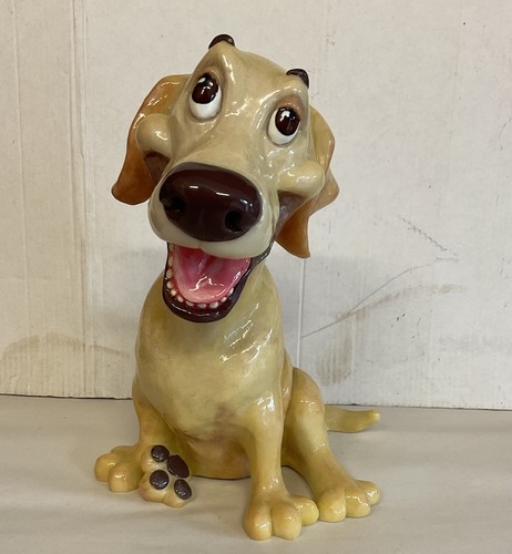 Arora pets with personality - arora,