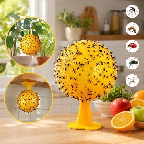 Fruit fly balls - balls,