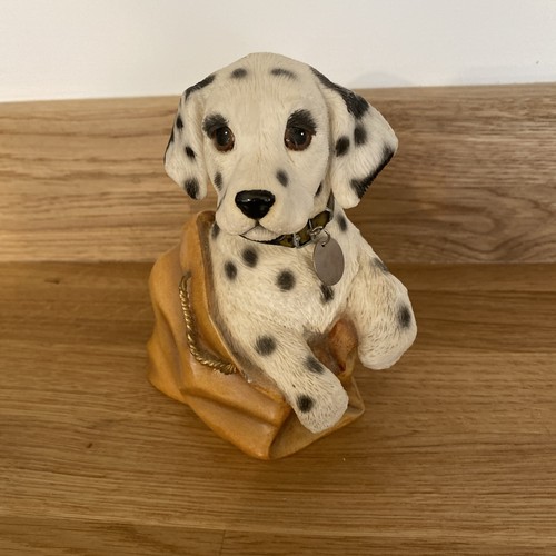 Cute little dalmatian - cute,
