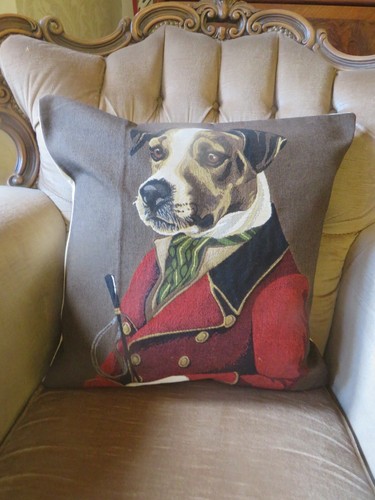 Coachman jack russell terrier - jack,