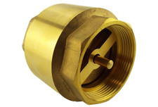IN LINE SPRING CHECK BRASS NON