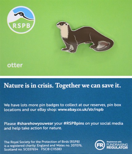 Rspb pin badge niic otter - rspb,