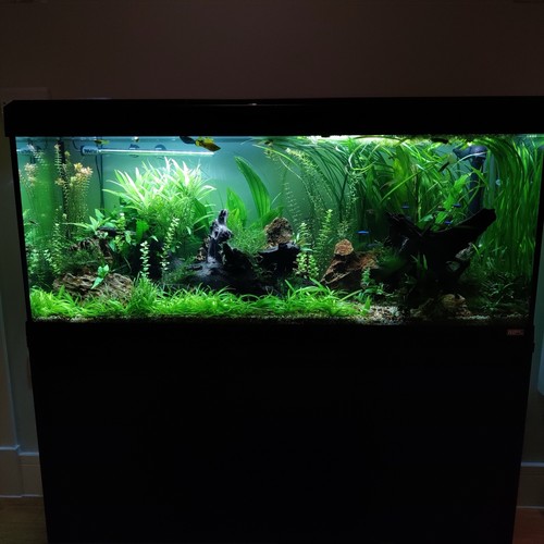 Fluval roma 240l - 240l, led