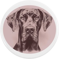 'Vintage Great Dane Portrait' Button Pin Badges (BB051278)