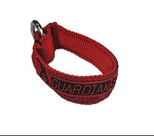 Slingshot guardian safety - guardian,