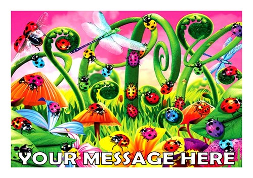 Ladybirds bugs birthday - ,