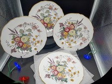Vintage Spode Dinner Plates
