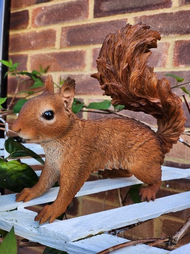 Ultra realistic squirrel - realistic,