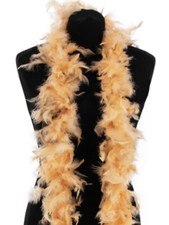 Beautiful Mellow Peach Feather