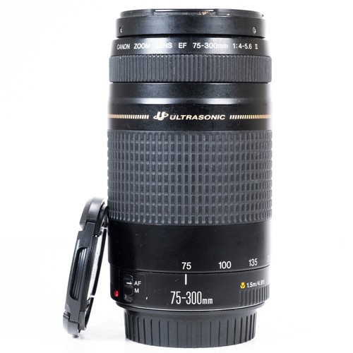 Canon 300mm 5 6 - f/4.0-5.6, ii