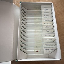 12 PREPARED MICROSCOPE SLIDES