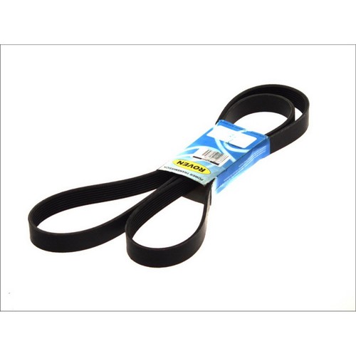 Multi belt fits daf - fits:, 85