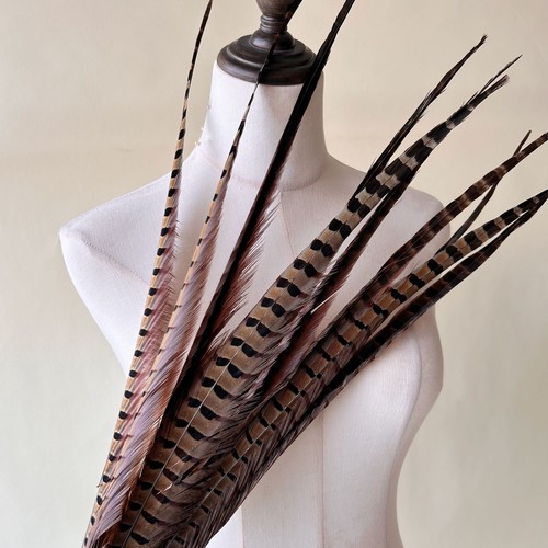 5pcs pheasant tail feathers - pheasant,