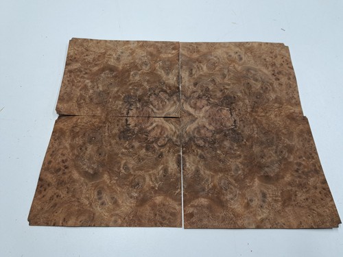 Burr walnut veneer - walnut, 4
