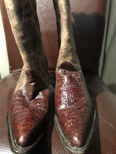 Buitre exotic crocodile and - buitre,