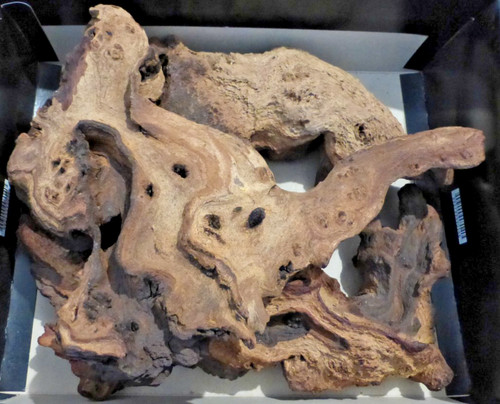 Aquarium mopani wood - wood, tank
