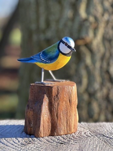 Blue tit hand carved - on, tree