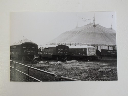 Bertram mills circus 23rd - bertram,