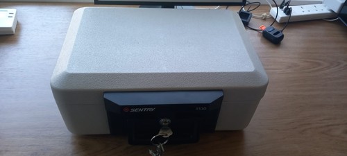 Sentry fire safe - fire,