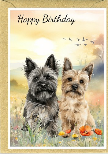Cairn terrier dog - cairn,