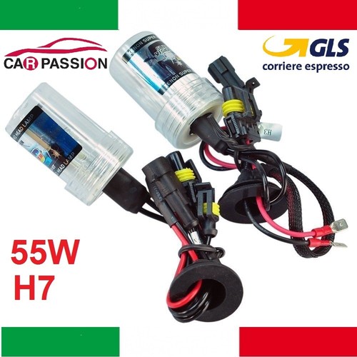 Pair xenon bulb kit - xenon,