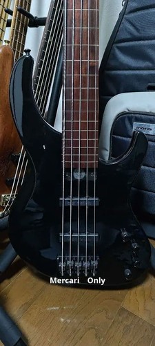 Modulus genesis string - modulus,
