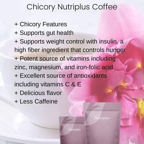 Farmasi nutriplus chicory - farmasi,