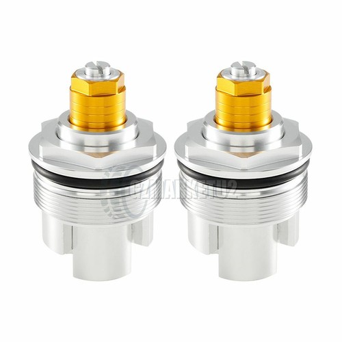 Fork top caps - top, plugs