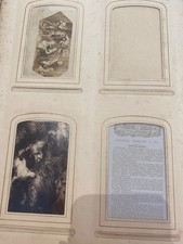 Victorian photo album and
