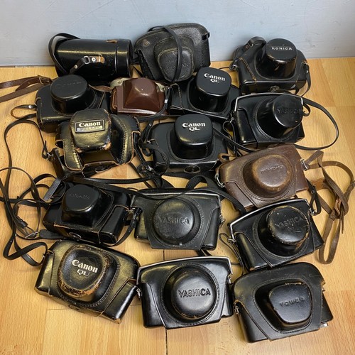 Vintage film camera - film, cases