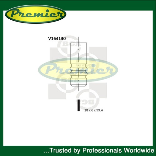 Premier inlet intake valve - inlet,