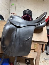 Albion ultima, Black Dressage