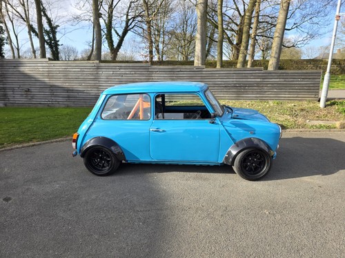 Classic mini roll - mini, cage