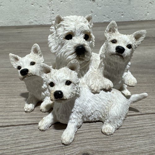 Border fine arts - border, westie