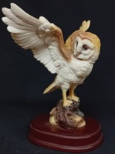 Leonardo Collection 'Barn Owl'