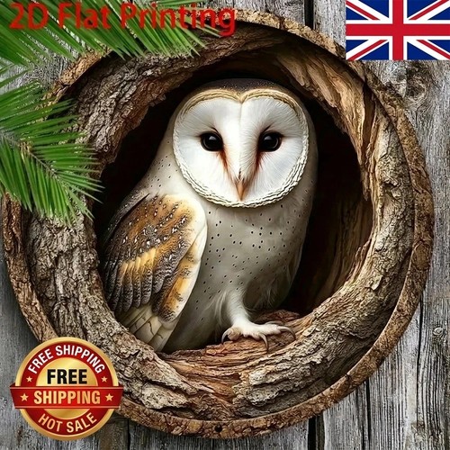 Stunning owl garden - stunning,