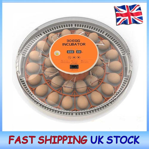 30egg incubator egg - incubator, candler
