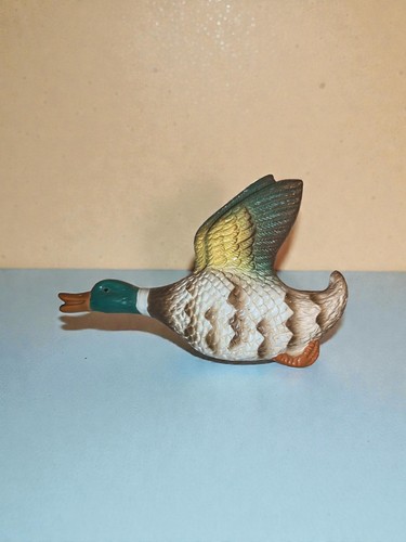 Mallard flying duck - mallard, wall