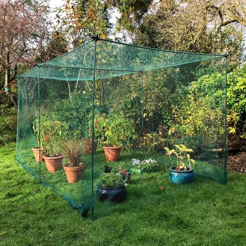 High vegetable fruit - vegetable, cages