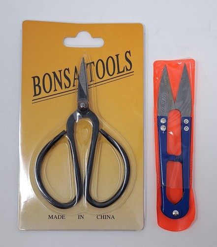 Small bonsai tree pruning - small,