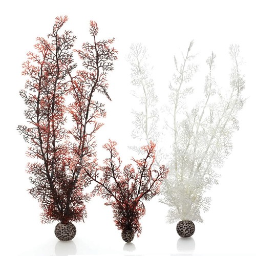 Oase biorb sea fan aquarium - biorb,